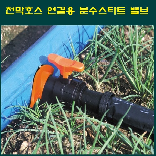 분수스타트 2가지 색상 랜덤 발송