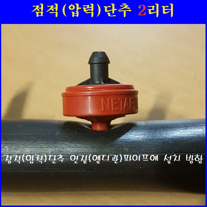 점적(압력)단추2L